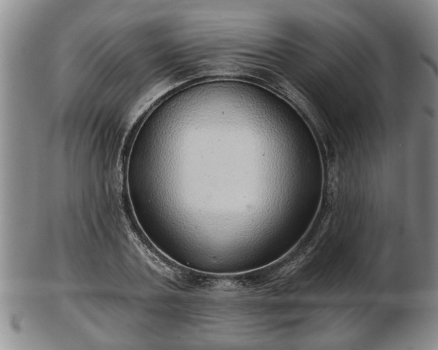 X0000103220787200809041002