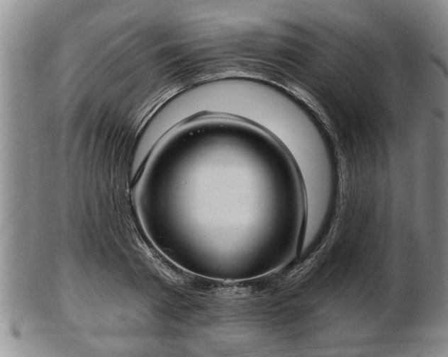 X0000103220793200809041001