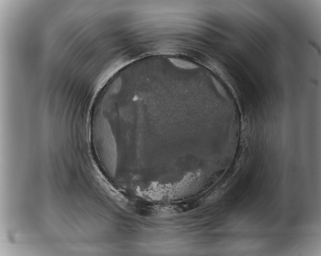 X0000103220795200809041001