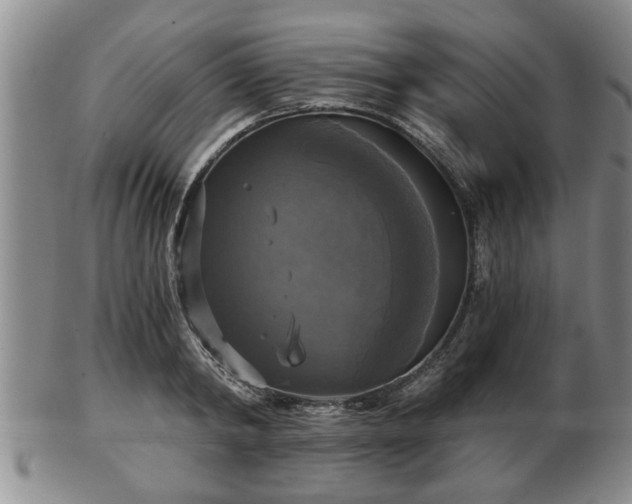 X0000103220798200809041001