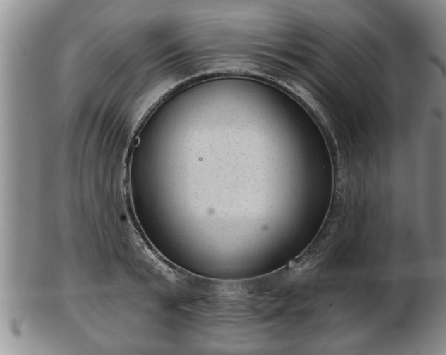 X0000103220799200809041001