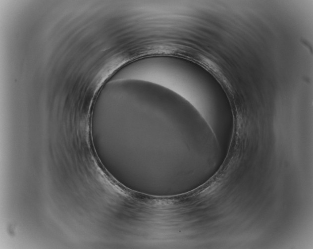 X0000103220802200809041001