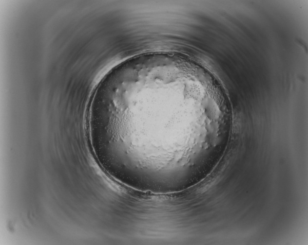 X0000103220803200809041001