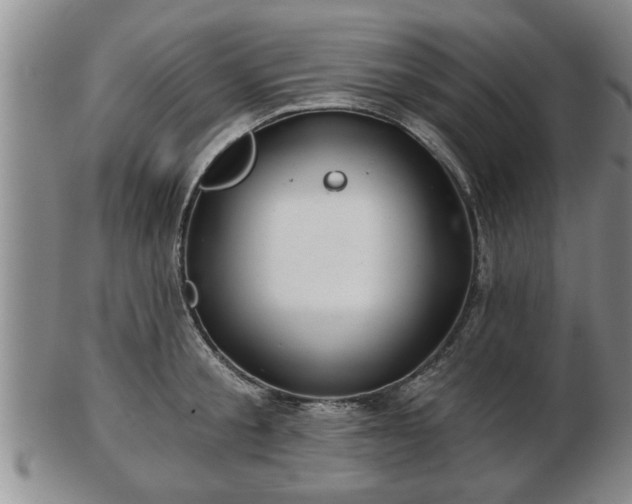 X0000103220805200809041001