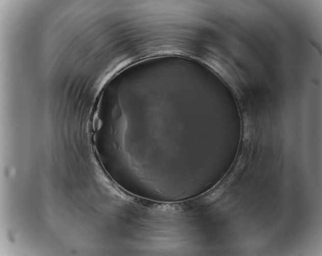 X0000103220806200809041001