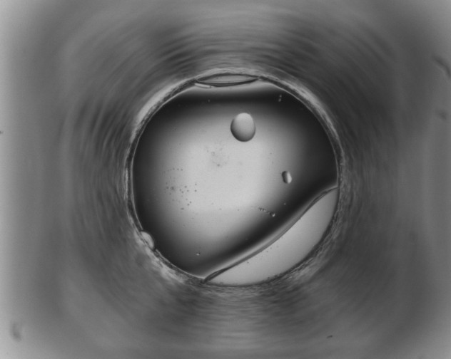 X0000103220807200809041001