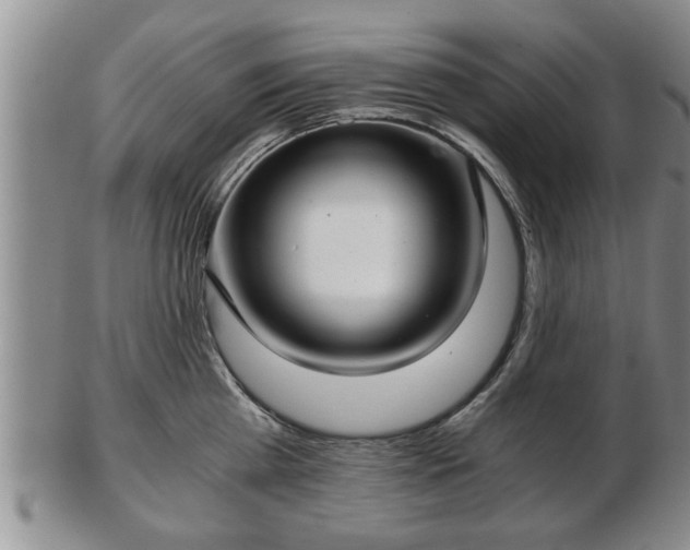 X0000103220809200809041001