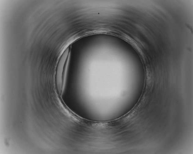 X0000103220810200809041001