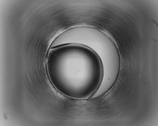 X0000103220813200809041001