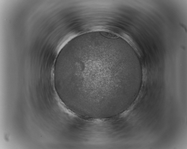 X0000103220814200809041001