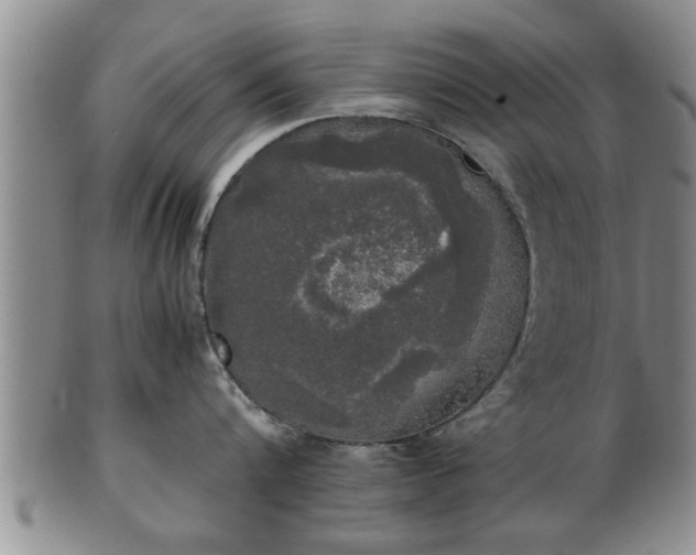 X0000103220816200809041001