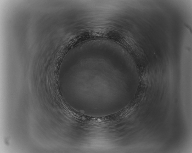 X0000103220817200809041001