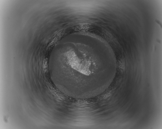 X0000103220818200809041001