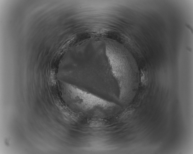 X0000103220819200809041001