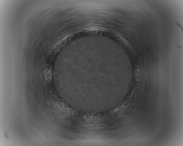 X0000103220821200809041001