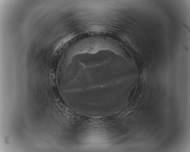 X0000103220822200809041001