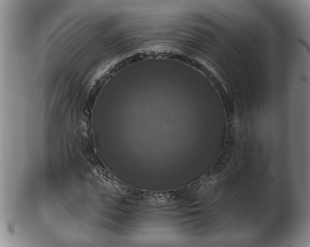 X0000103220823200809041001