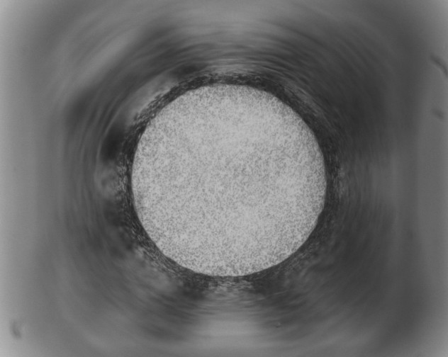 X0000103220824200809041001