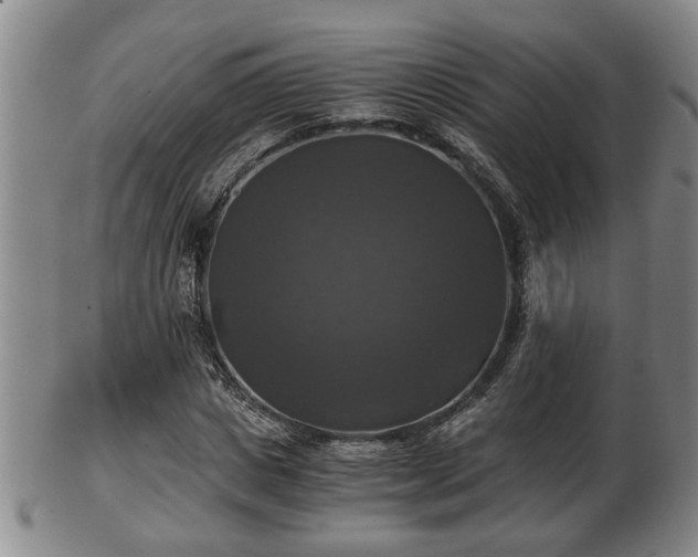 X0000103220825200809041001