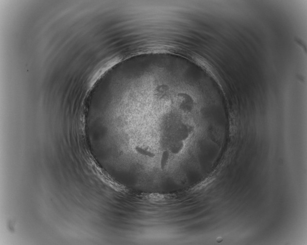 X0000103220827200809041001