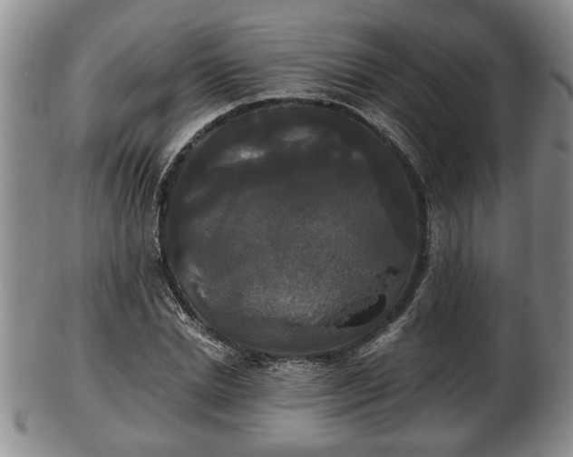 X0000103220830200809041001