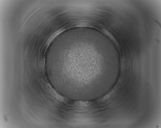 X0000103220831200809041001