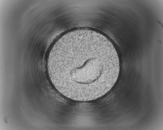 X0000103220832200809041001