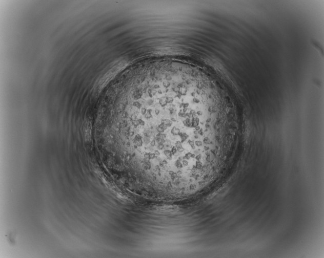 X0000103220833200809041001