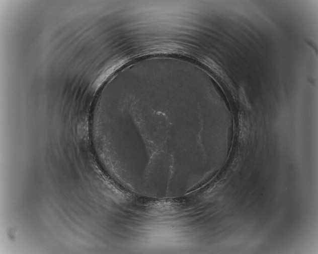 X0000103220834200809041001