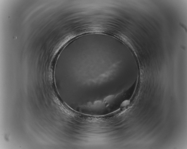 X0000103220835200809041001