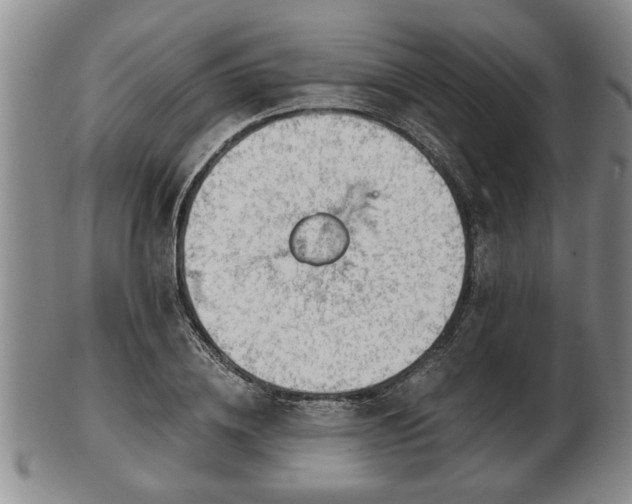 X0000103220836200809041001