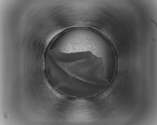 X0000103220838200809041001