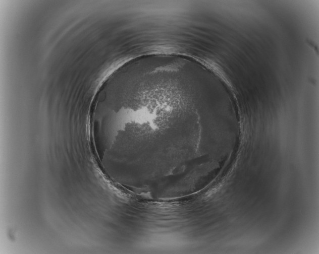 X0000103220839200809041001