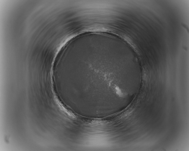 X0000103220840200809041001