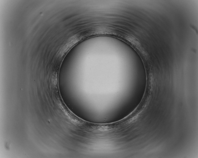 X0000103220841200809041001