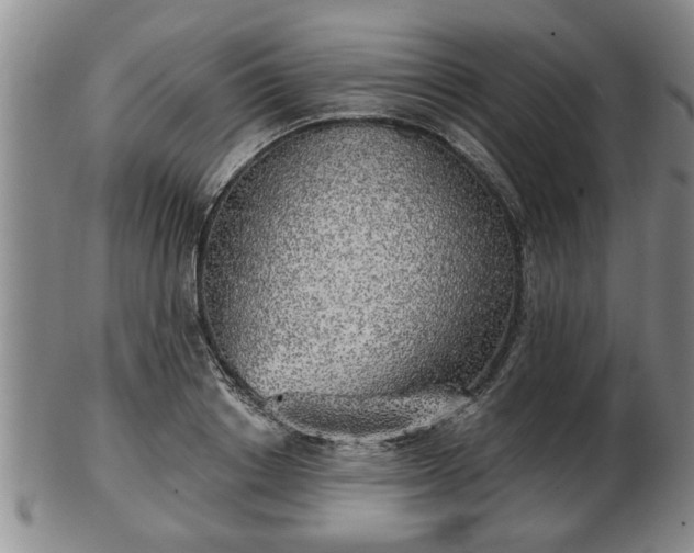 X0000103220842200809041001