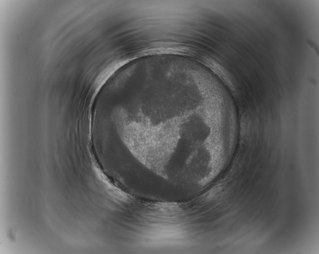 X0000103220844200809041001