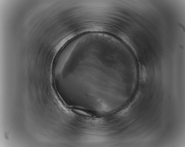 X0000103220845200809041001