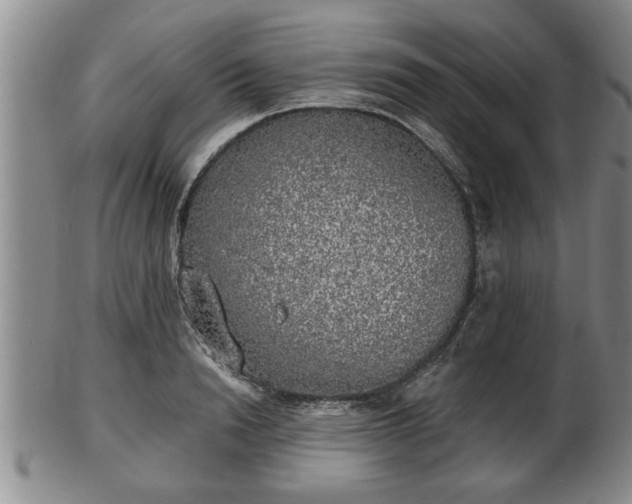 X0000103220846200809041001