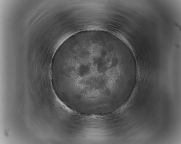 X0000103220847200809041001