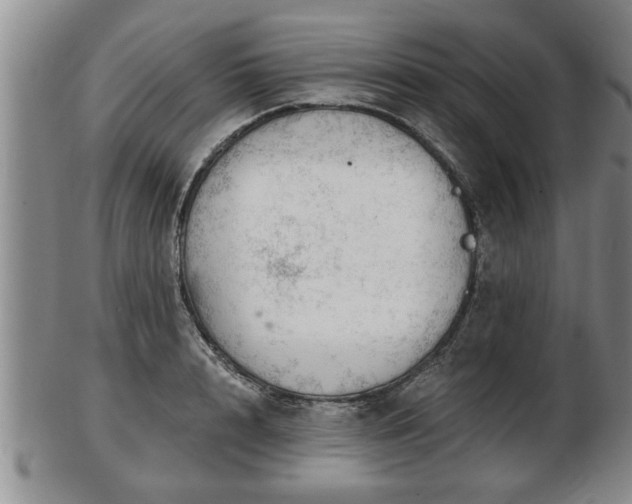 X0000103220848200809041001