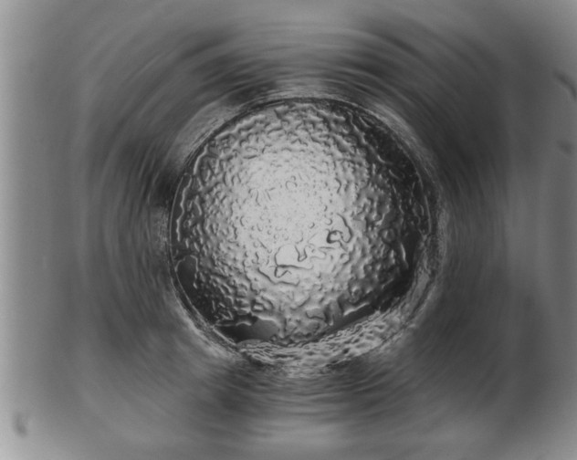 X0000103220849200809041001