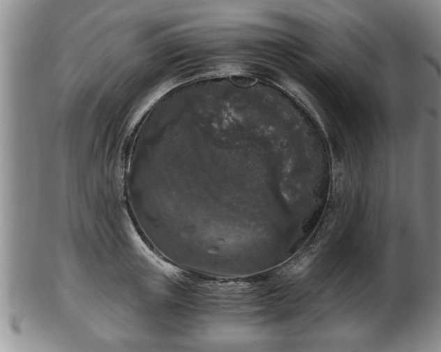 X0000103220851200809041001