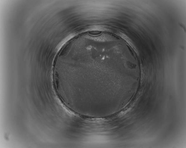 X0000103220853200809041001