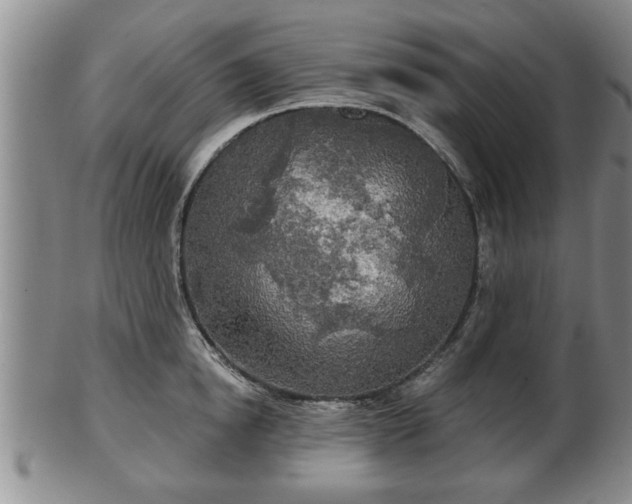 X0000103220854200809041001