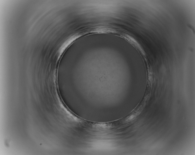 X0000103220855200809041001