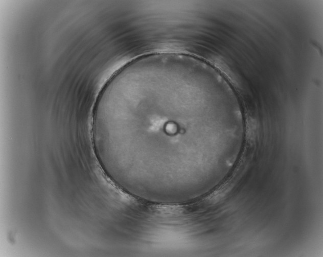 X0000103220856200809041001