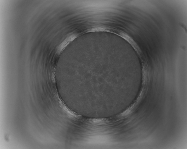 X0000103220857200809041001