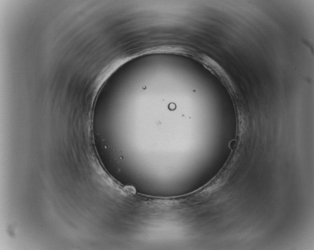 X0000103220860200809041001