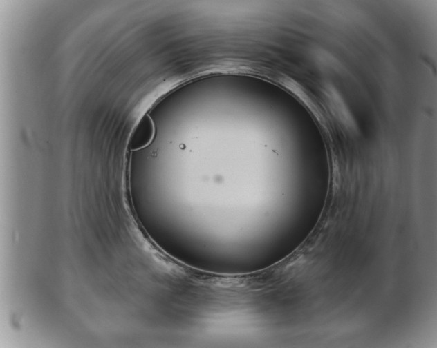 X0000103220861200809041001